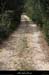 20120418_lagorce_boissauvage_pistededarboussieres5