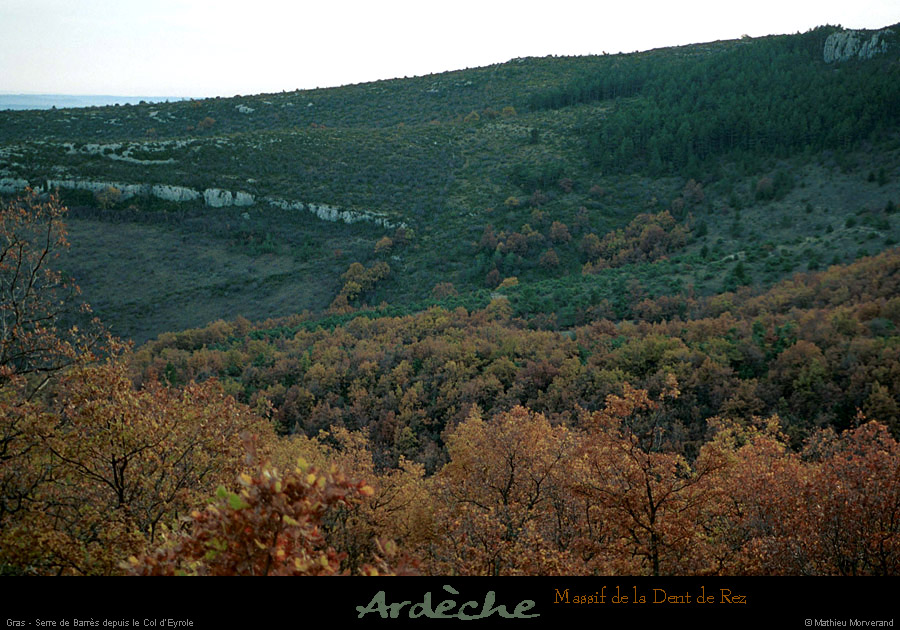 20001125_serredebarresdedentderez_2
