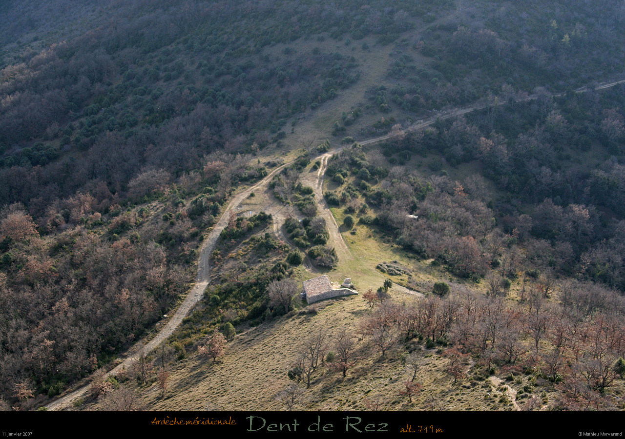 20070111_dentderez_003