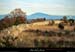 20001125_pentesdeladentderezetventoux_3