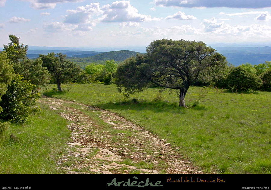 20010503_rez_moucharalede_2