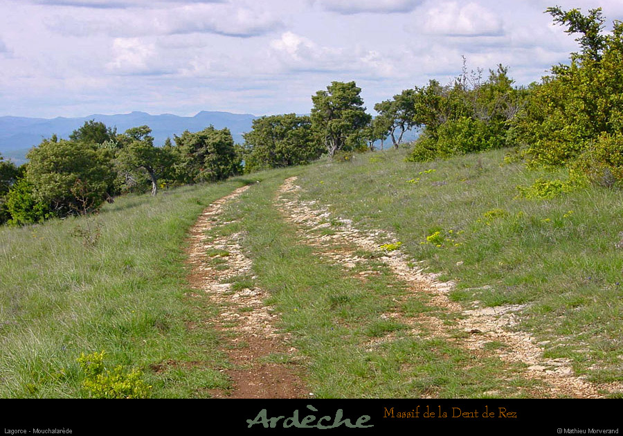 20010503_rez_moucharalede_4