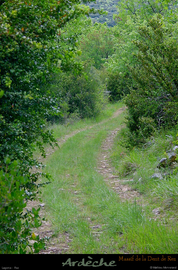 20010503_rez_sentier_2