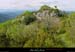 20010503_rez_moucharalede_couderocheux_1