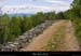 20010503_rez_sentier_1