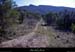 20110320_gras_boissauvage_serredeboulle