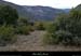 20130113_gras_boissauvage_vallonriveldepuisserredeboule