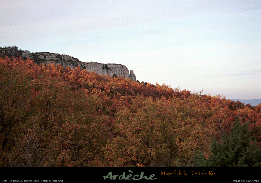 20001125_dentderez_rancdubounet