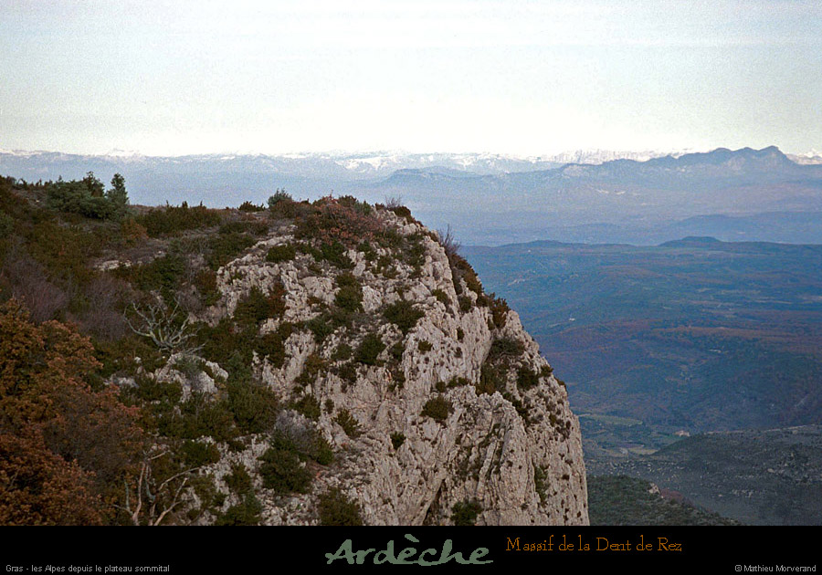 20001125_dentderez_sommetetalpes