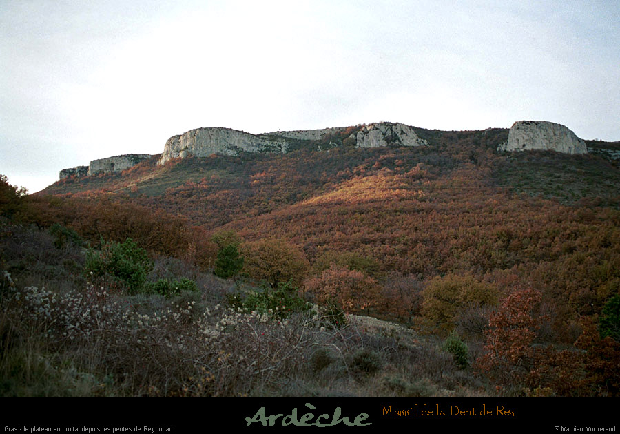 20001125_dentderezdusudest_2