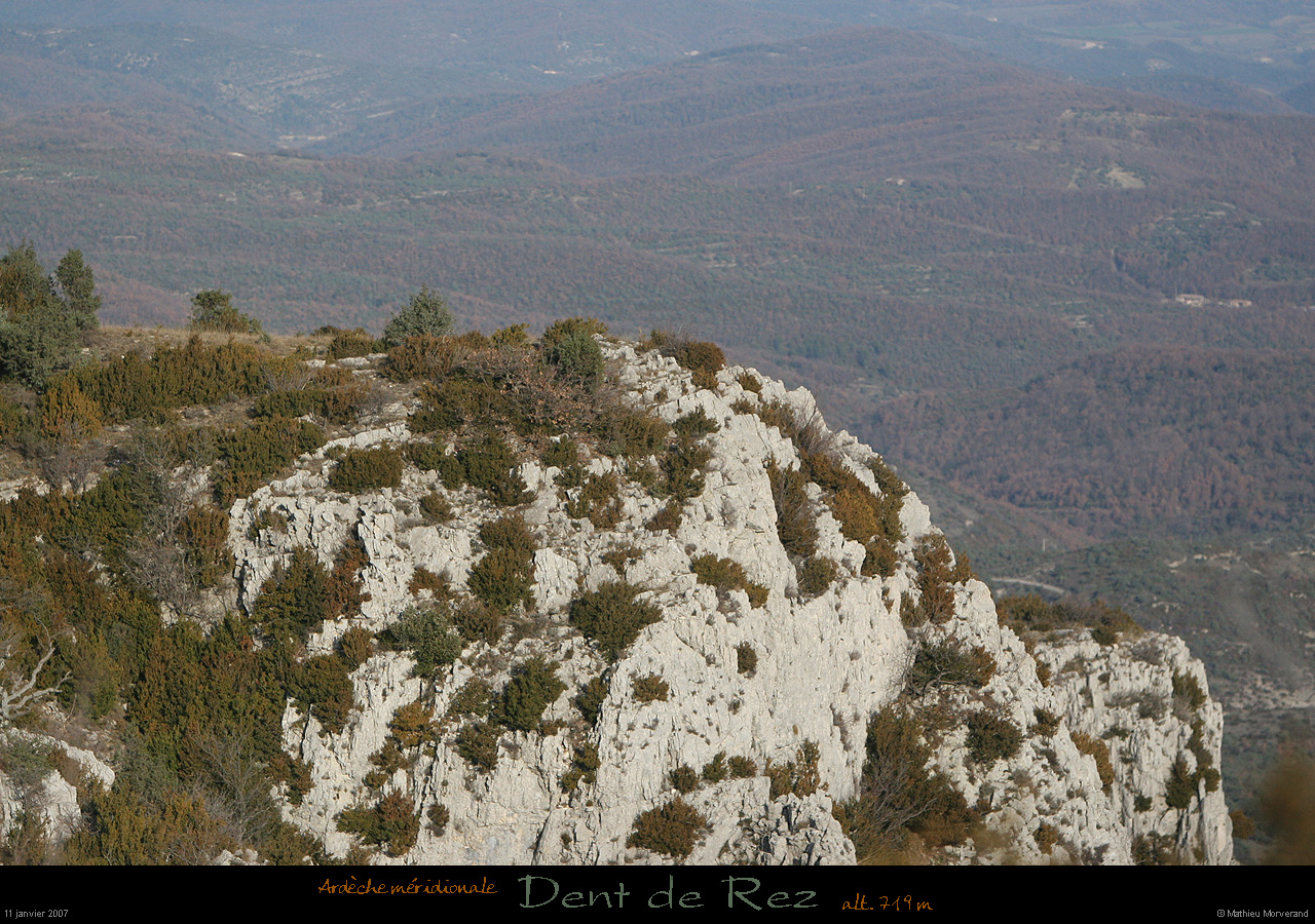 20070111_dentderez_004