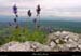 20000713_brindelavandeetventouxdeladentderez