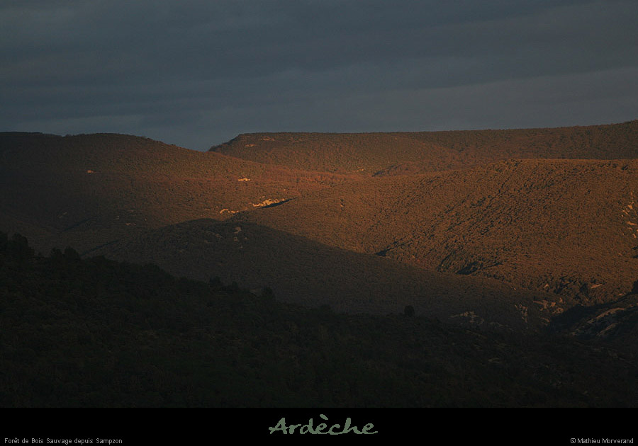 20070225_boissauvagedesampzon4