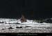20110413_bateliers_3eaux1