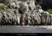20110413_bateliers_figueras3