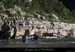 20110413_bateliers_guedeguitardav1