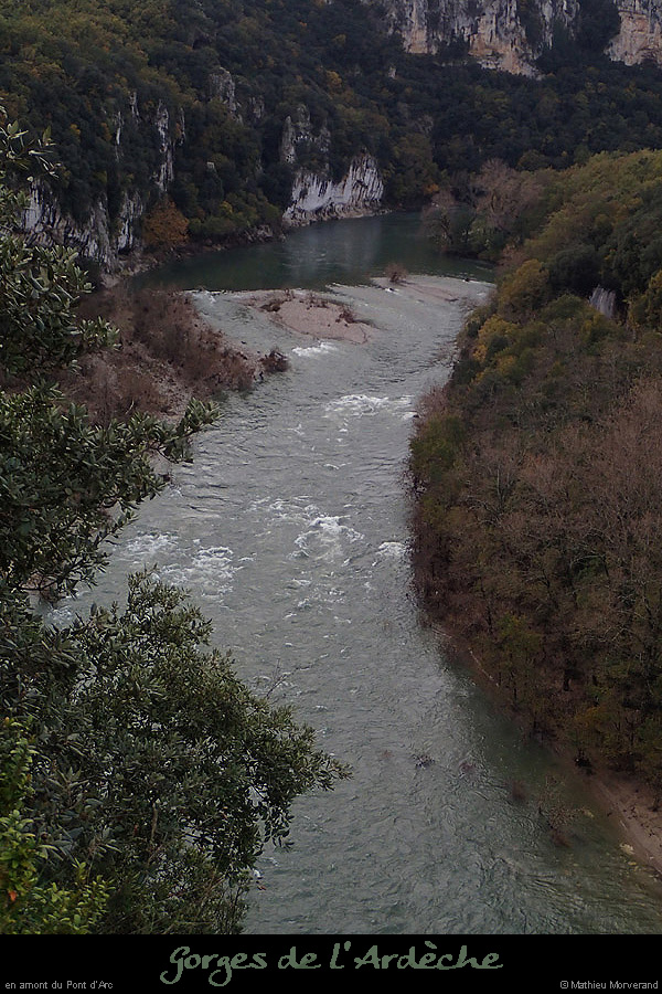 20141111_branchesparav2