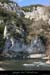 20080323_rapidebranches2