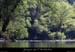 20110410_branchesparam