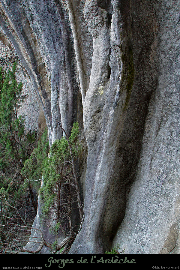 20030330_devesdevirac_ampa_falaise_concretions