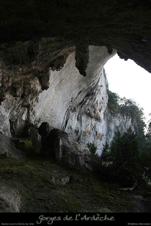 20110209_ssdevesdeviracampa_baume1_8
