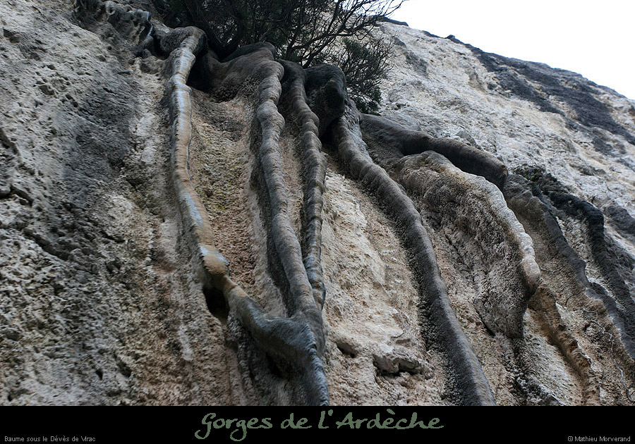 20110209_ssdevesdeviracampa_baume1_9