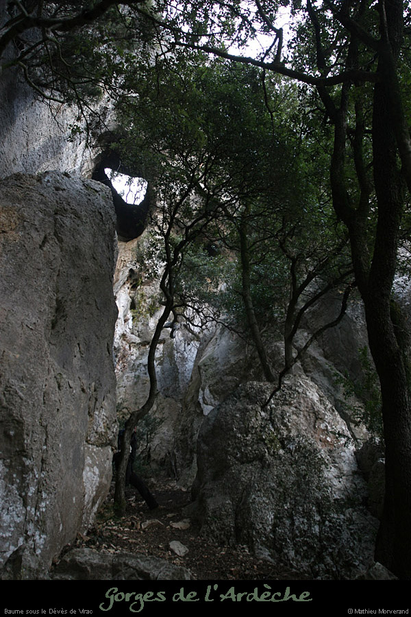 20110209_ssdevesdeviracampa_baume2_02