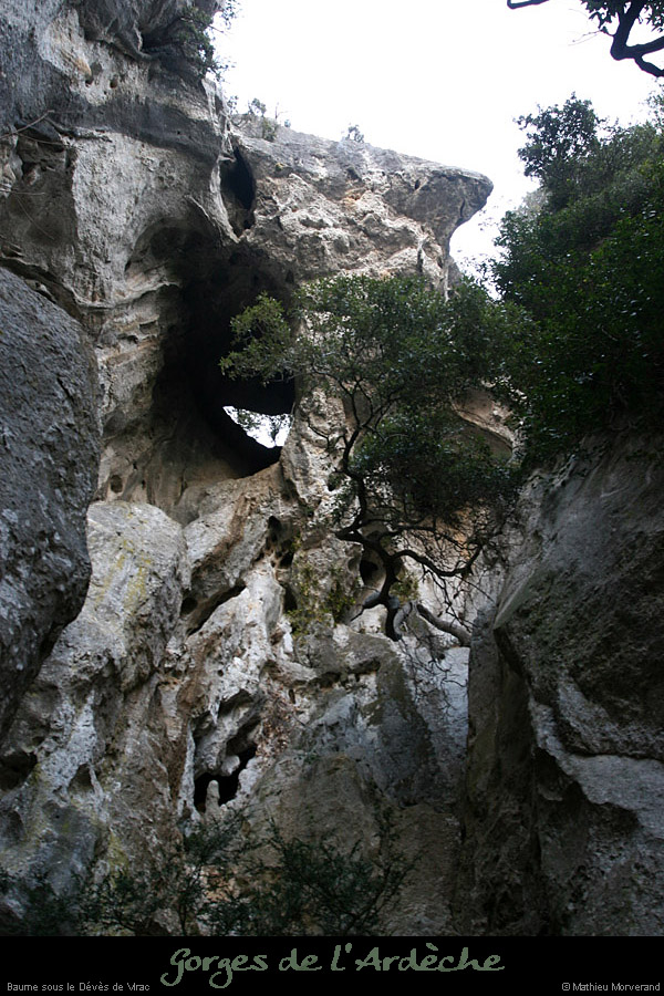 20110209_ssdevesdeviracampa_baume2_03