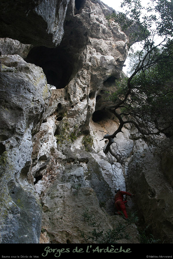 20110209_ssdevesdeviracampa_baume2_05