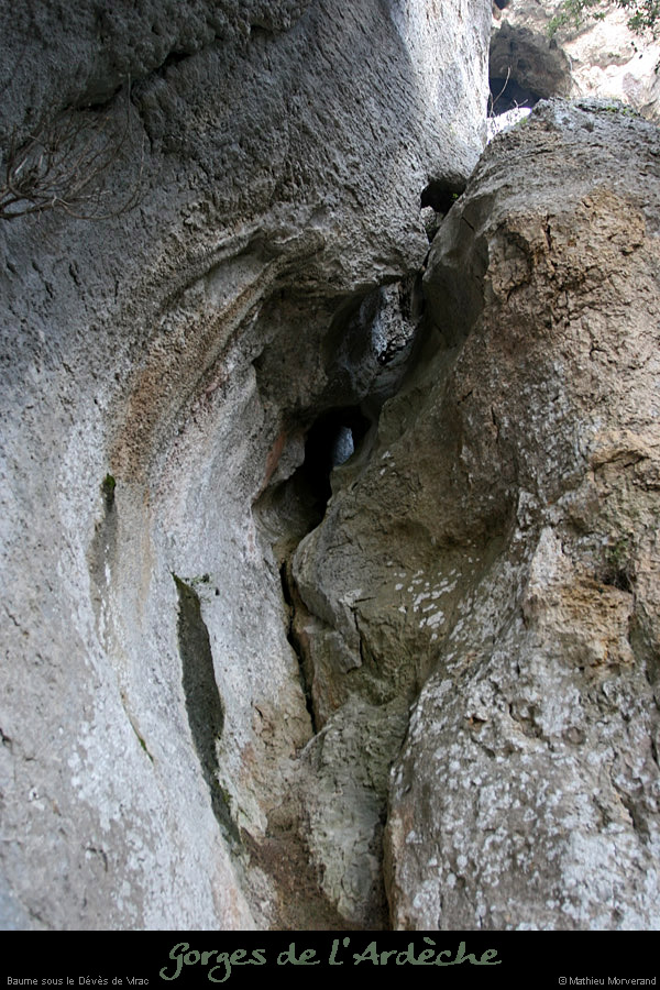 20110209_ssdevesdeviracampa_baume2_13