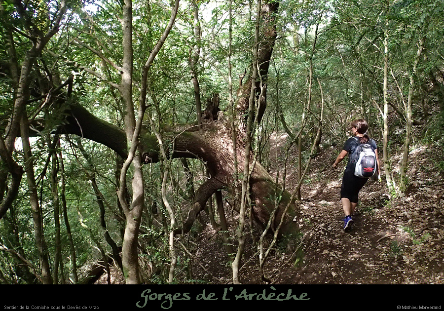 20160530_cheminsousdevesdevirac