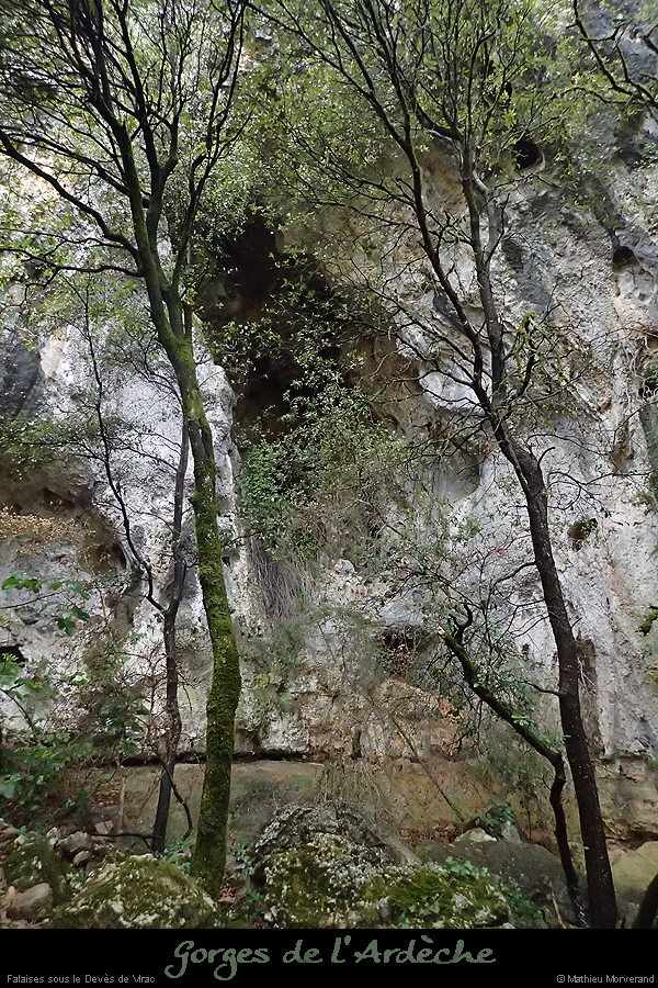 20180817_grottessdevesvirac
