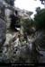 20110209_ssdevesdeviracampa_baume2_03