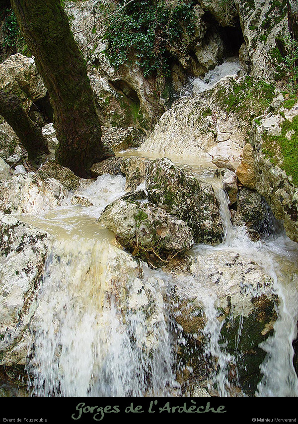 20021116_foussoubieresurg4