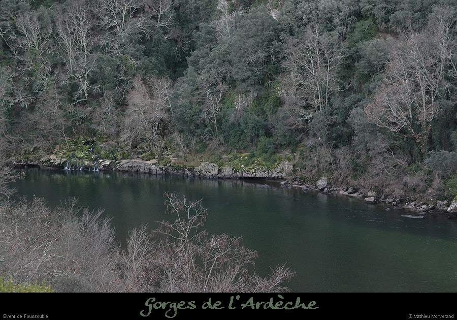 20070120_foussoubieresurg