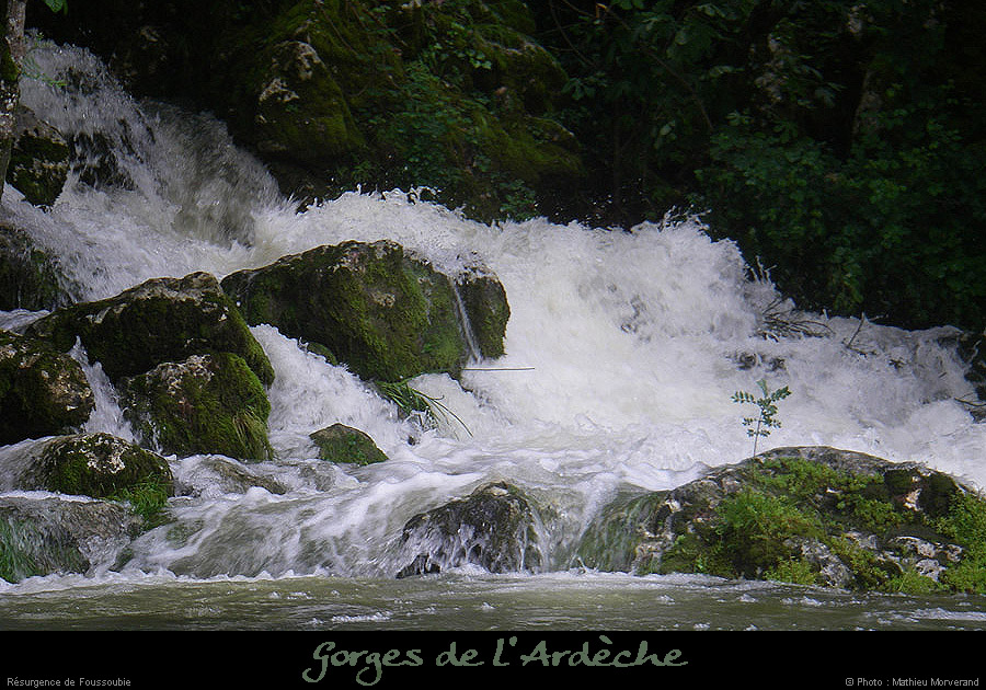 20080531ibie_094