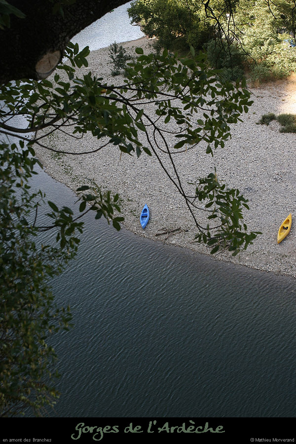 20090730_ambranchesrivgauche