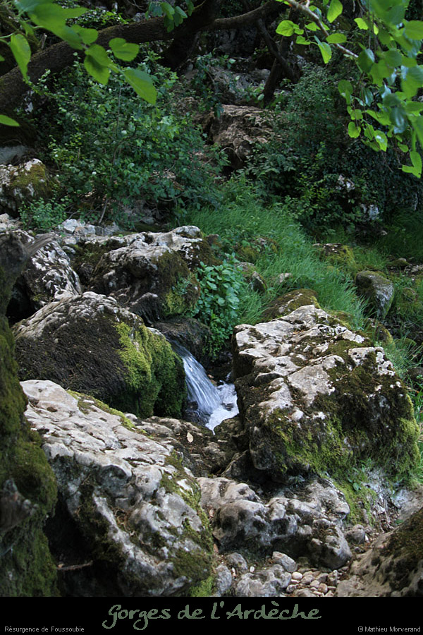 20110515_foussoubie_event2