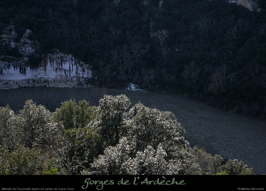 20130120_resurgence_foussoubie
