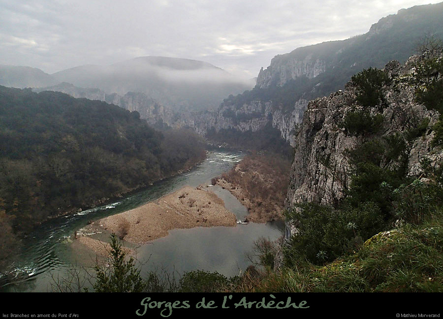 20141212_branchesdedevesdevirac1