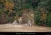 20021124_foussoubieresurg2