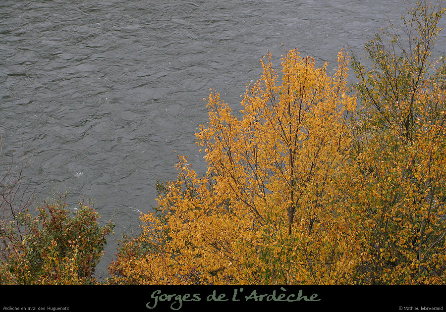20061119_huguenotsaval