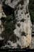 20110515_cayrecreytav_falaises2