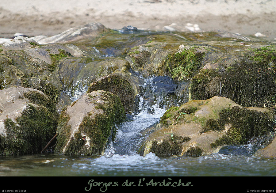 20110421_sourceduboeuf