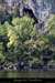20110410_entreegrottedelachaire1