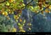 20021101_p00rieusset