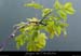 20021213_p00rieusset1