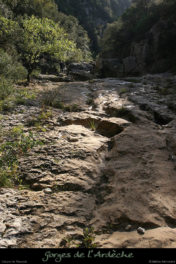 20071006_rieusset02