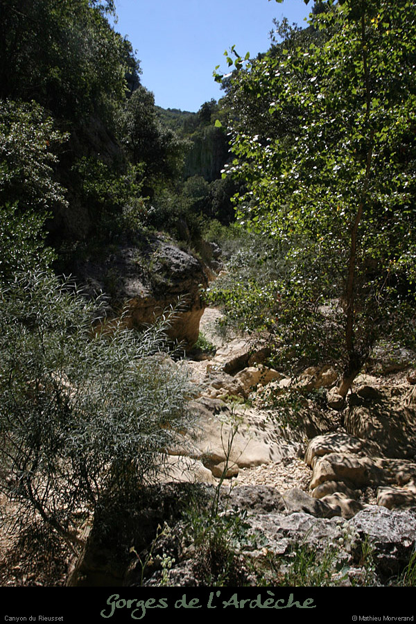 20100821_rieussetp01b