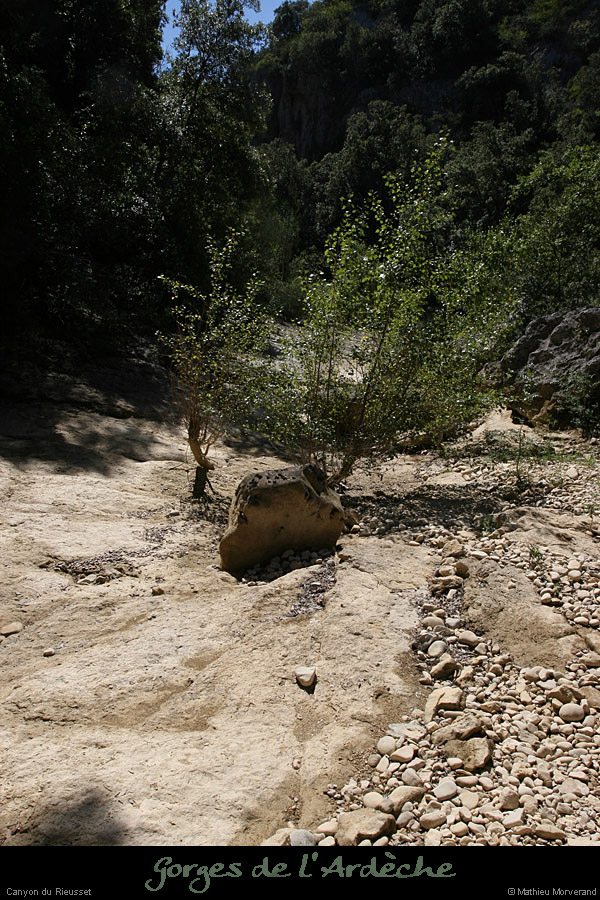 20100821_rieussetp01e